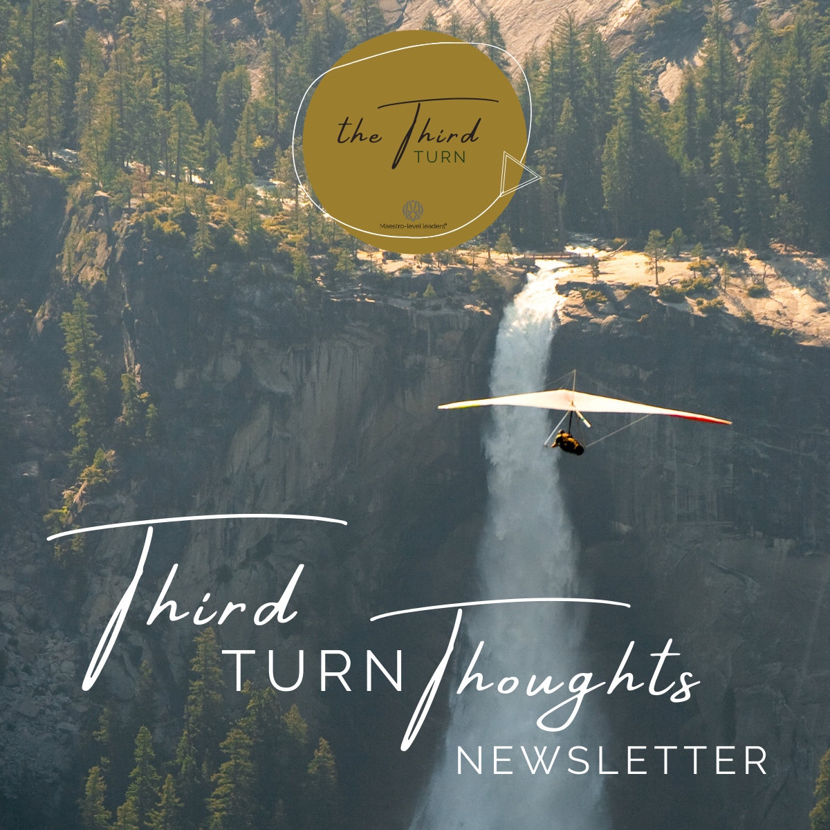 Third Turn Thoughts Newsletter