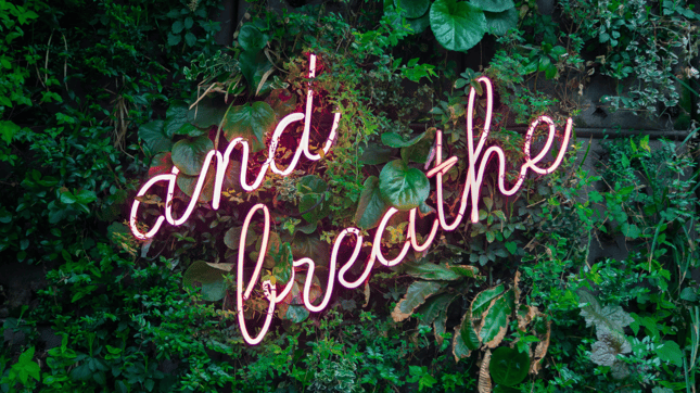 Header 1