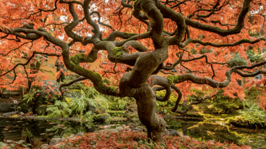 March Post - DGI Blog Post Image (2)-1