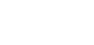 DGI Logo - 300x145 (Website Footer)