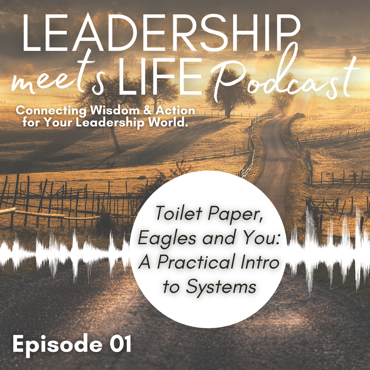 Leadership Meets Life Podcast - Episode 1