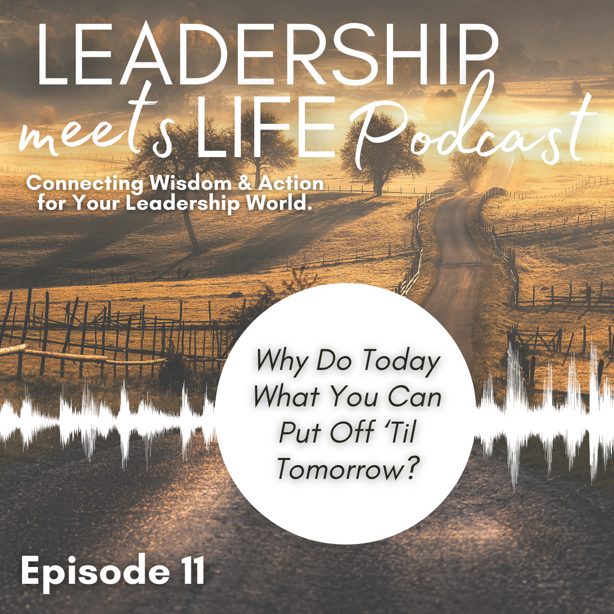 Leadership Meets Life Podcast - Episode 11