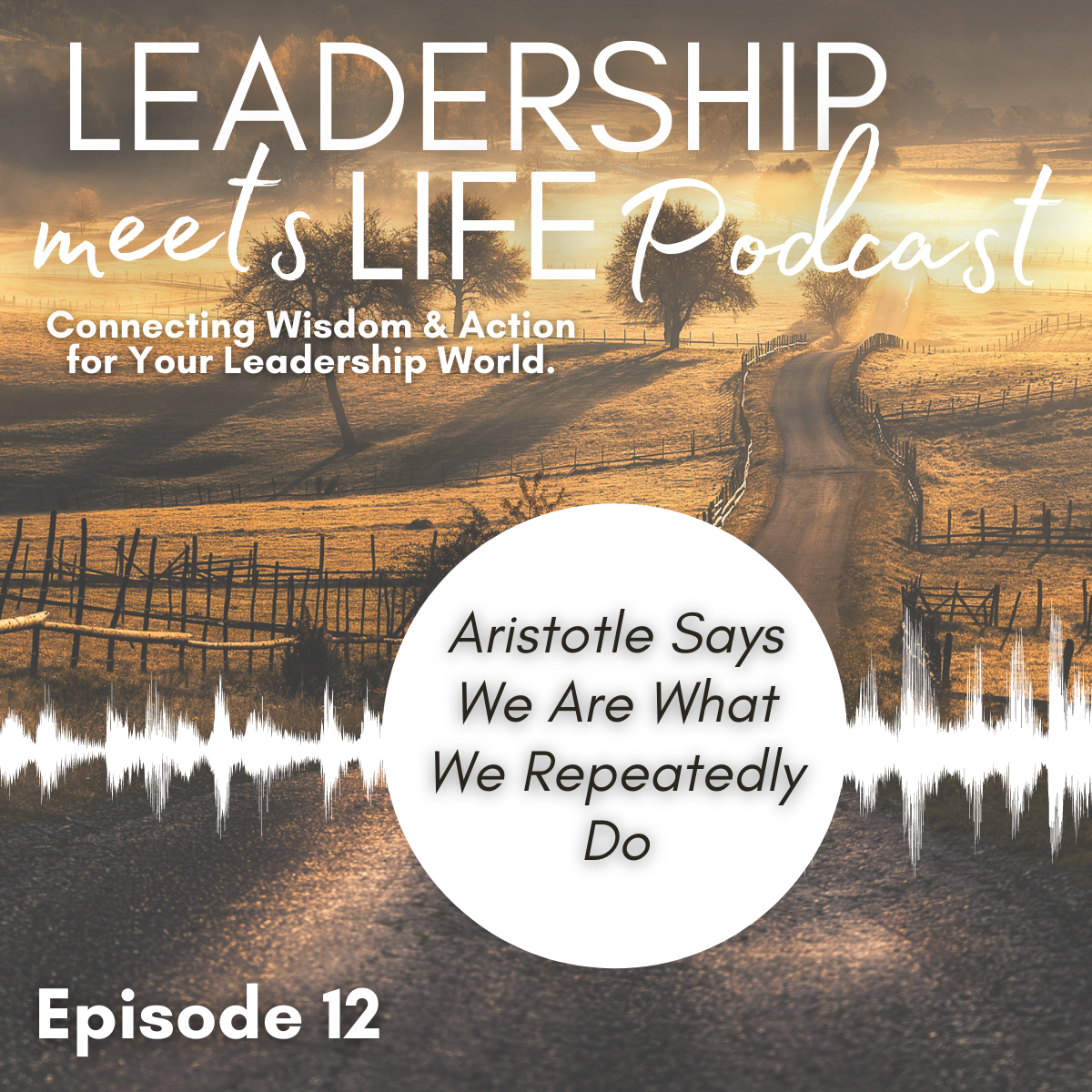 Leadership Meets Life Podcast - Episode 12